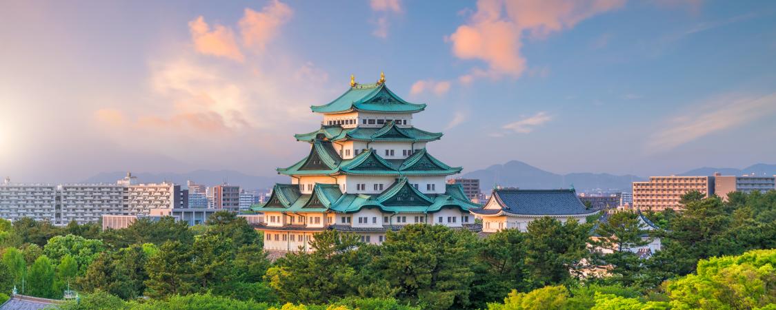 일본(로컬망) - 5G